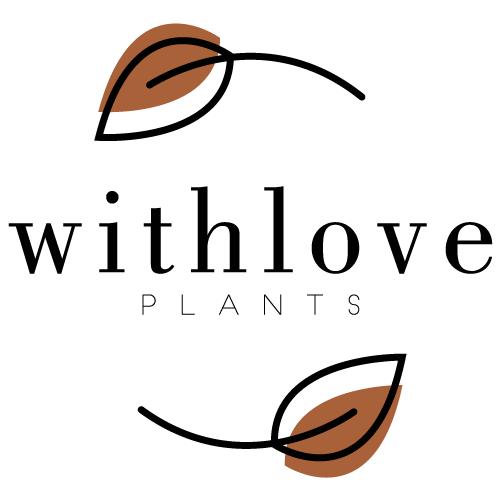 Pagina iniziale