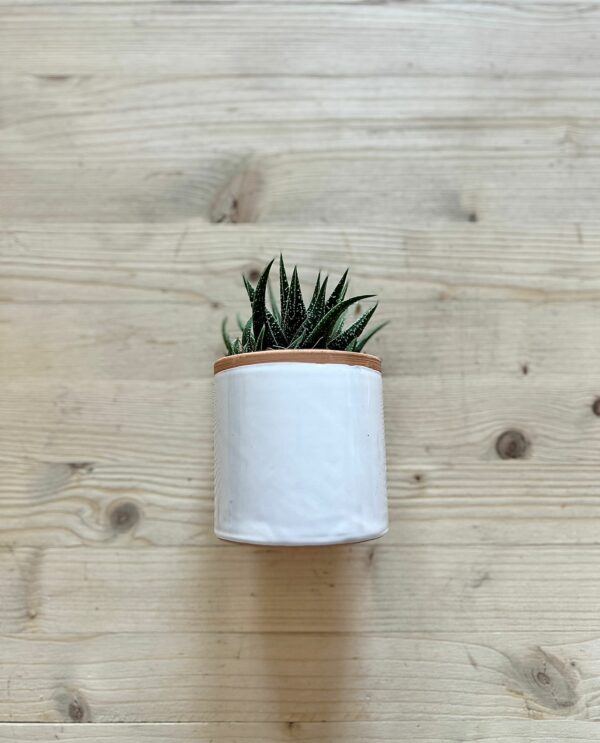 Vaso in Terracotta Smaltato Bianco