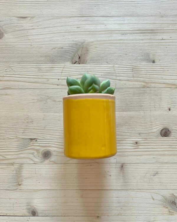 Vaso in Terracotta Smaltato Giallo